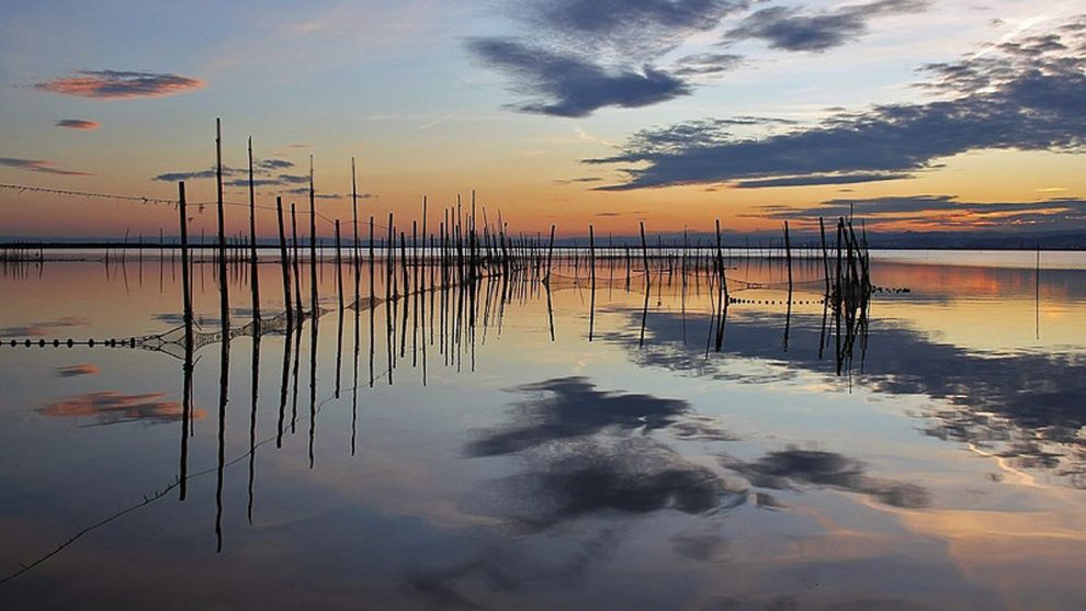 Lagune de l'Albufera